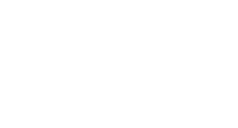 Logo light